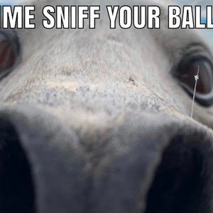 Meet your Posher, Student jack